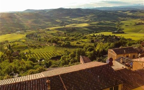 每天十句话经典语录（感悟人生的经典句子）