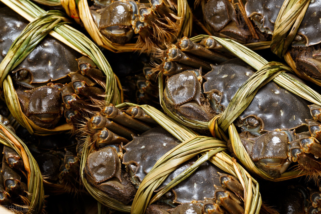 关于高考的句子的语段（给高三学生的暖心话）