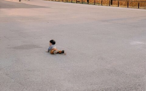 毕业哭到爆的句子（致毕业的青春句子简短）