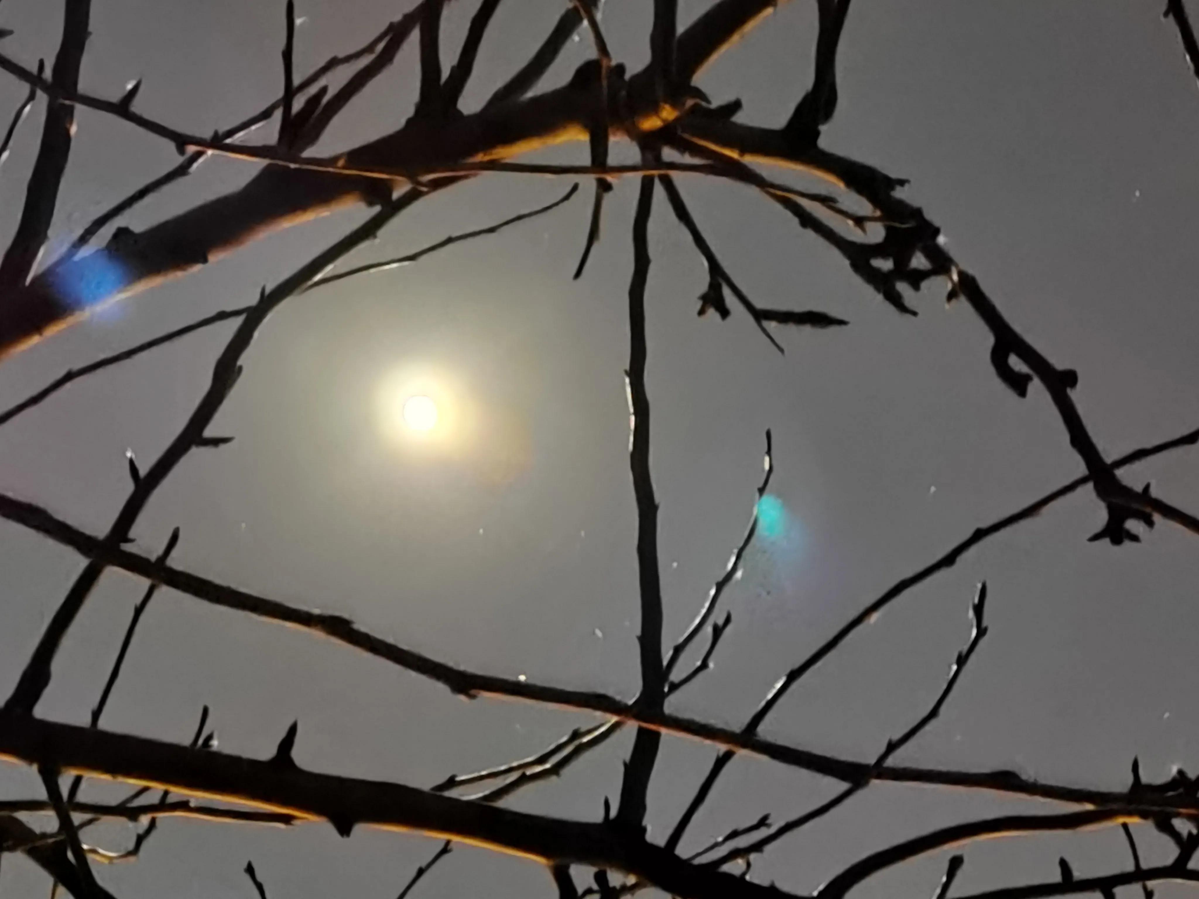 带星的诗句有哪些（关于星星的诗句古诗）