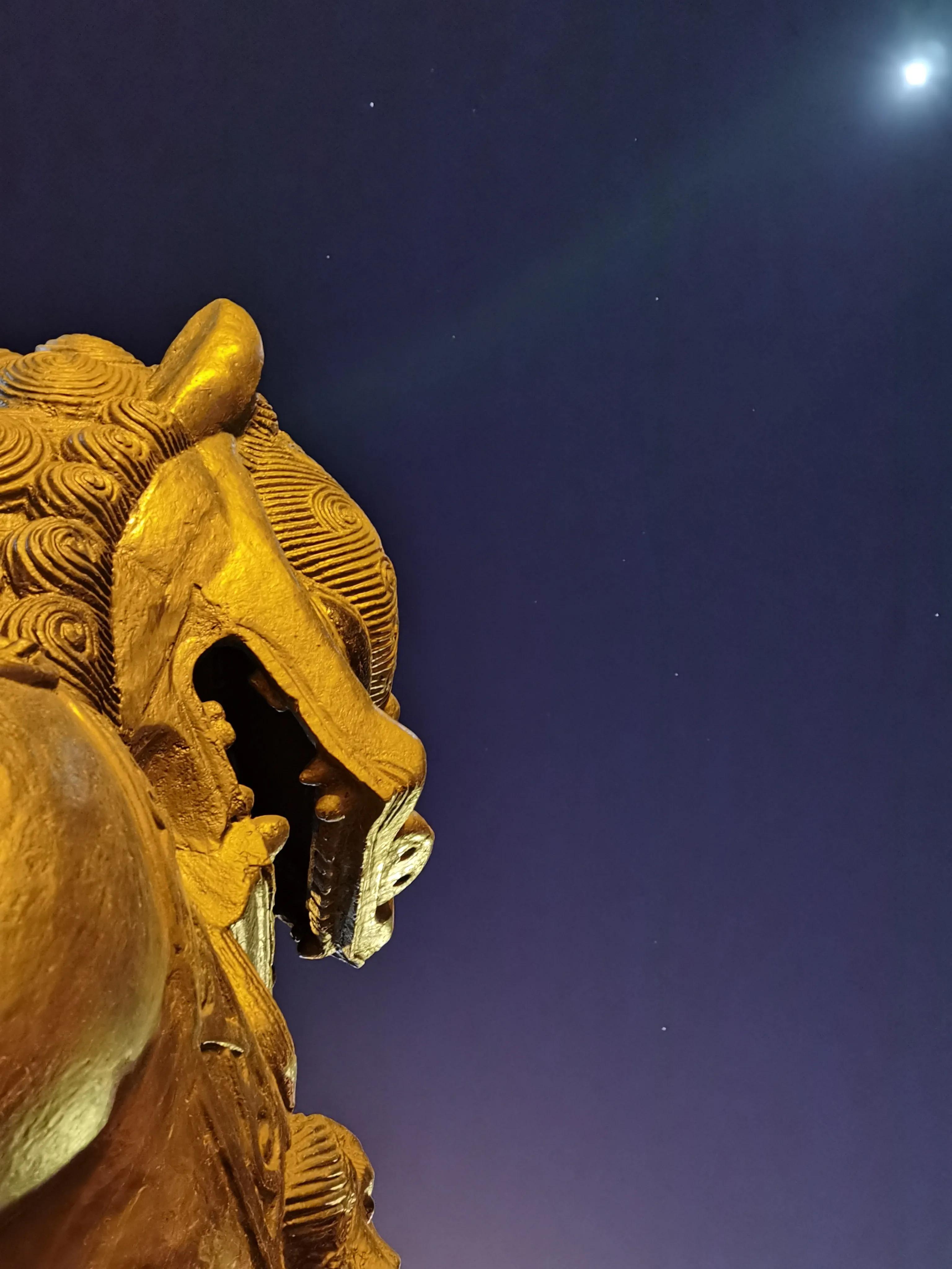 带星的诗句有哪些（关于星星的诗句古诗）