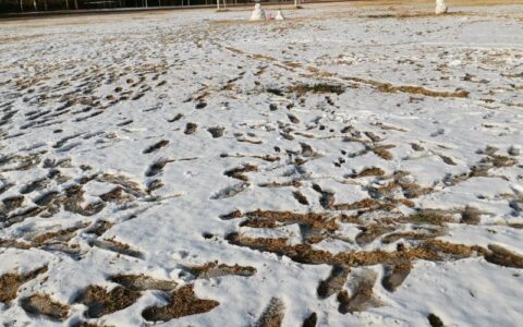 立冬下雪了说说（立春后下雪民间的说法）