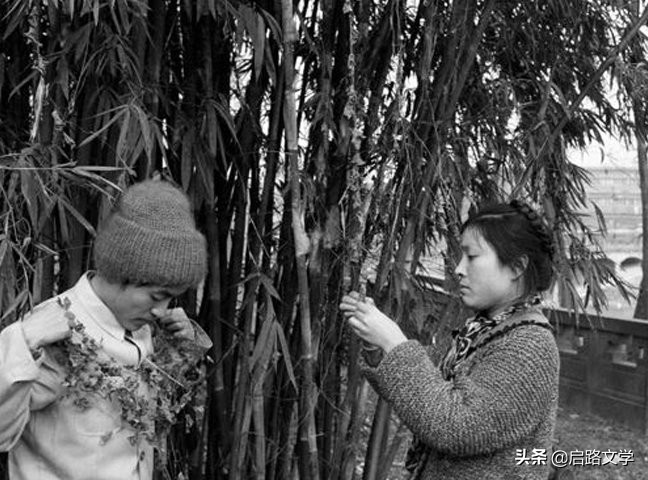 顾城经典语录摘抄（经典的唯美句子）