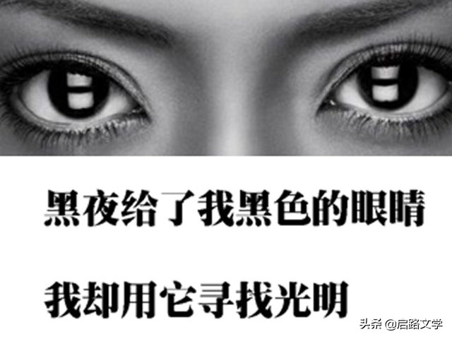 顾城经典语录摘抄（经典的唯美句子）