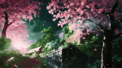 关于花的诗句有什么（描写花的诗词名句欣赏）