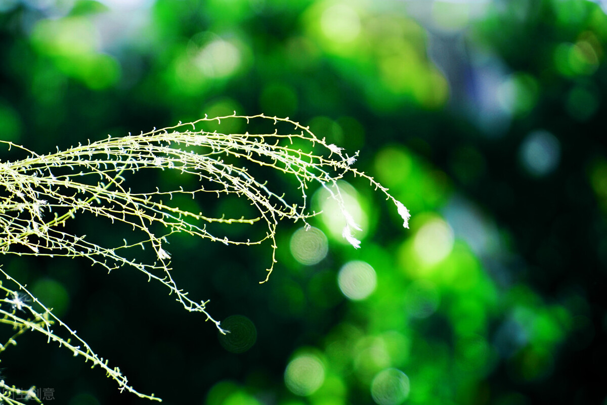 鲁迅名言警句摘抄大全（名人名言摘抄大全）