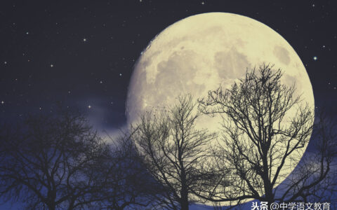 有关于月亮的诗句（描写月亮的古诗词句）
