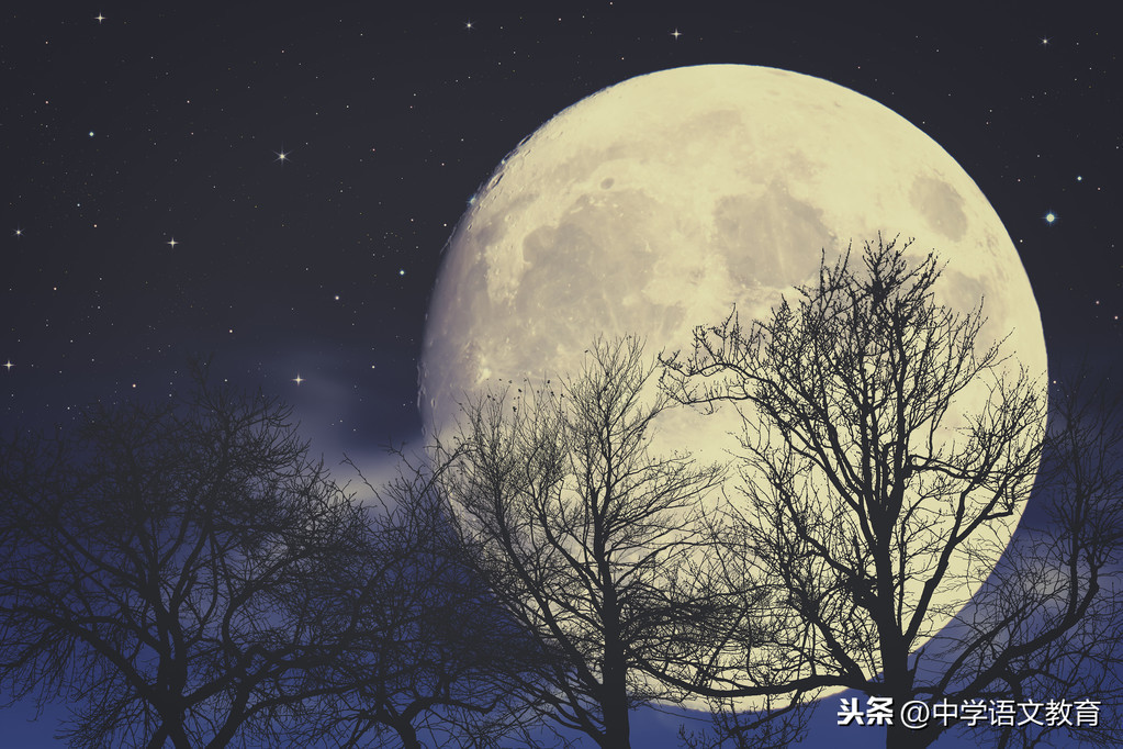 有关于月亮的诗句（描写月亮的古诗词句）