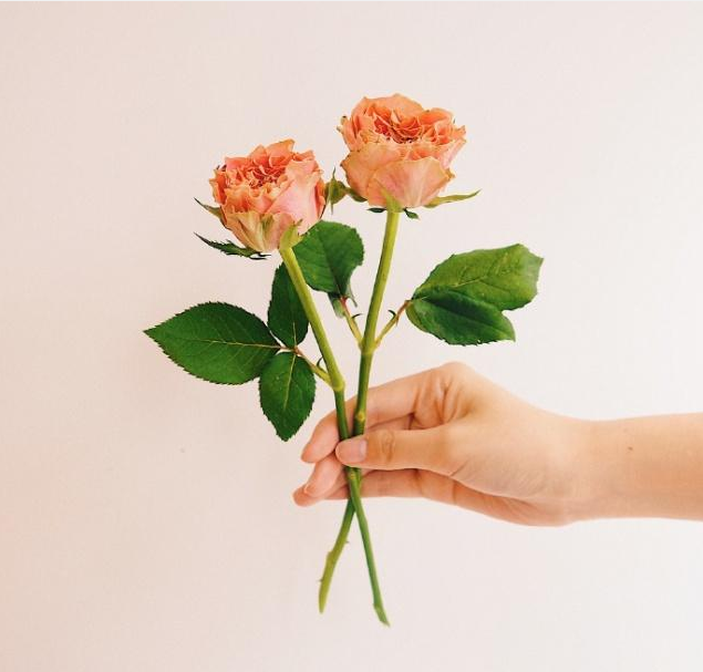 圣诞节短信祝福语大全（圣诞节甜蜜祝福语）