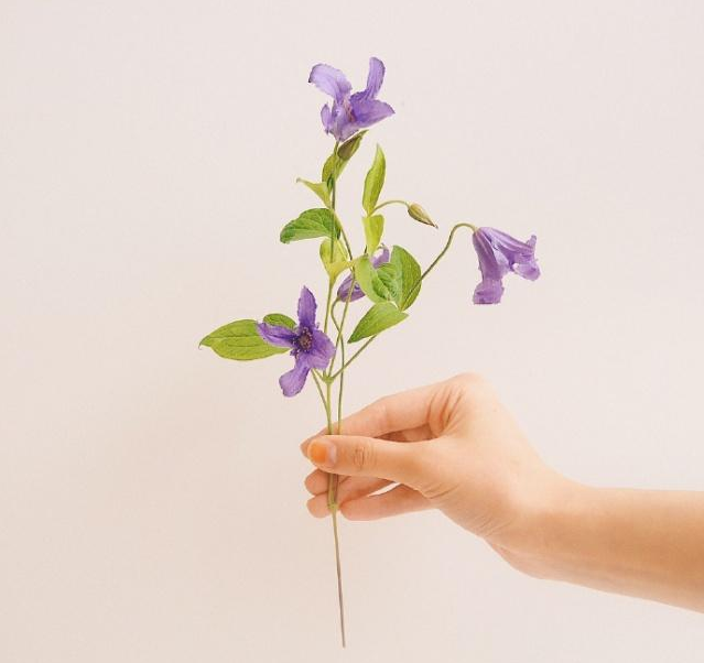 圣诞节短信祝福语大全（圣诞节甜蜜祝福语）