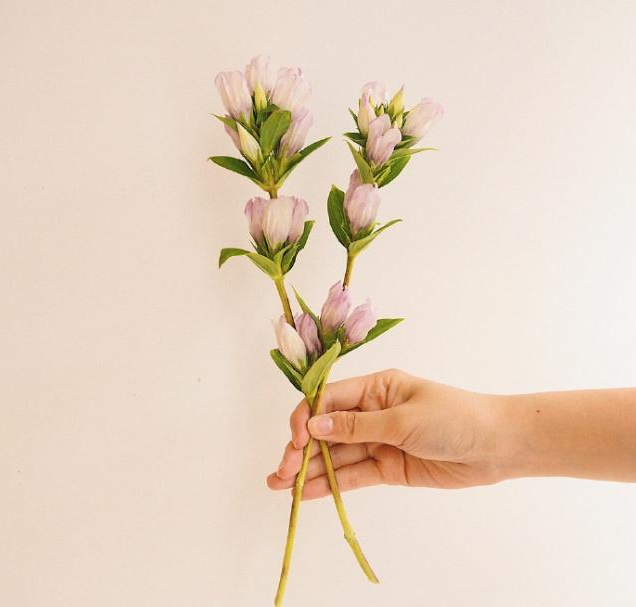 圣诞节短信祝福语大全（圣诞节甜蜜祝福语）