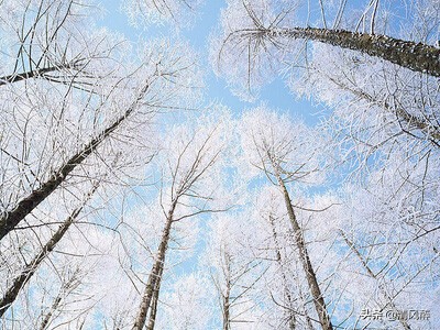 关于最伤感的qq个性签名（2022最火的个性签名分享）