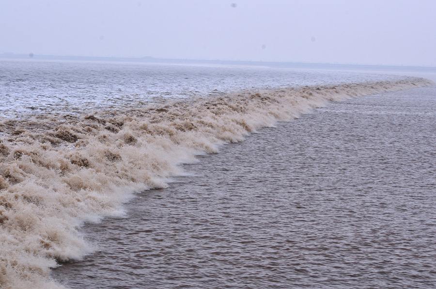 观潮原文及翻译注释（观潮全文解释赏析）