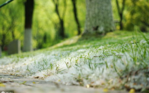 安慰失恋的人的文案（安慰失恋男生的暖心话）