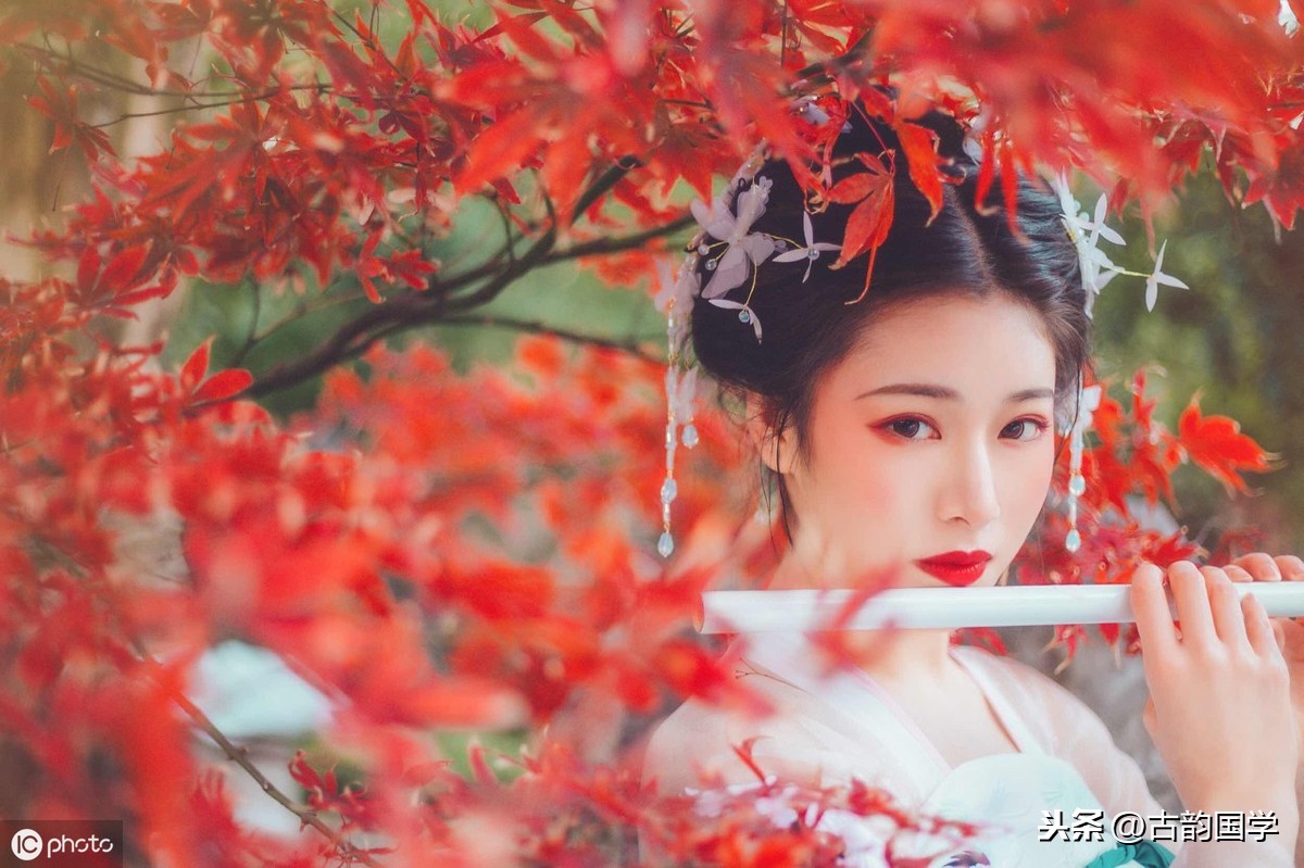 古代经典诗词名句（中国十大经典古诗）