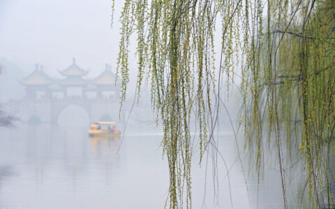 西江月夜行黄沙道中赏析简短（夜行黄沙道中译文及注释）