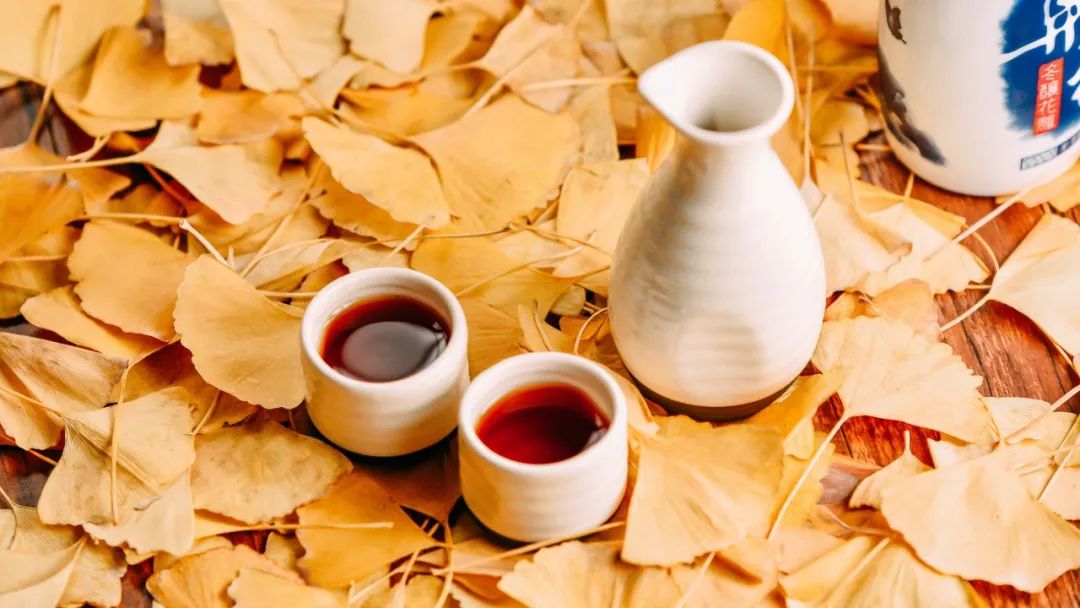 重阳节名句摘抄（关于重阳节的优美句子）