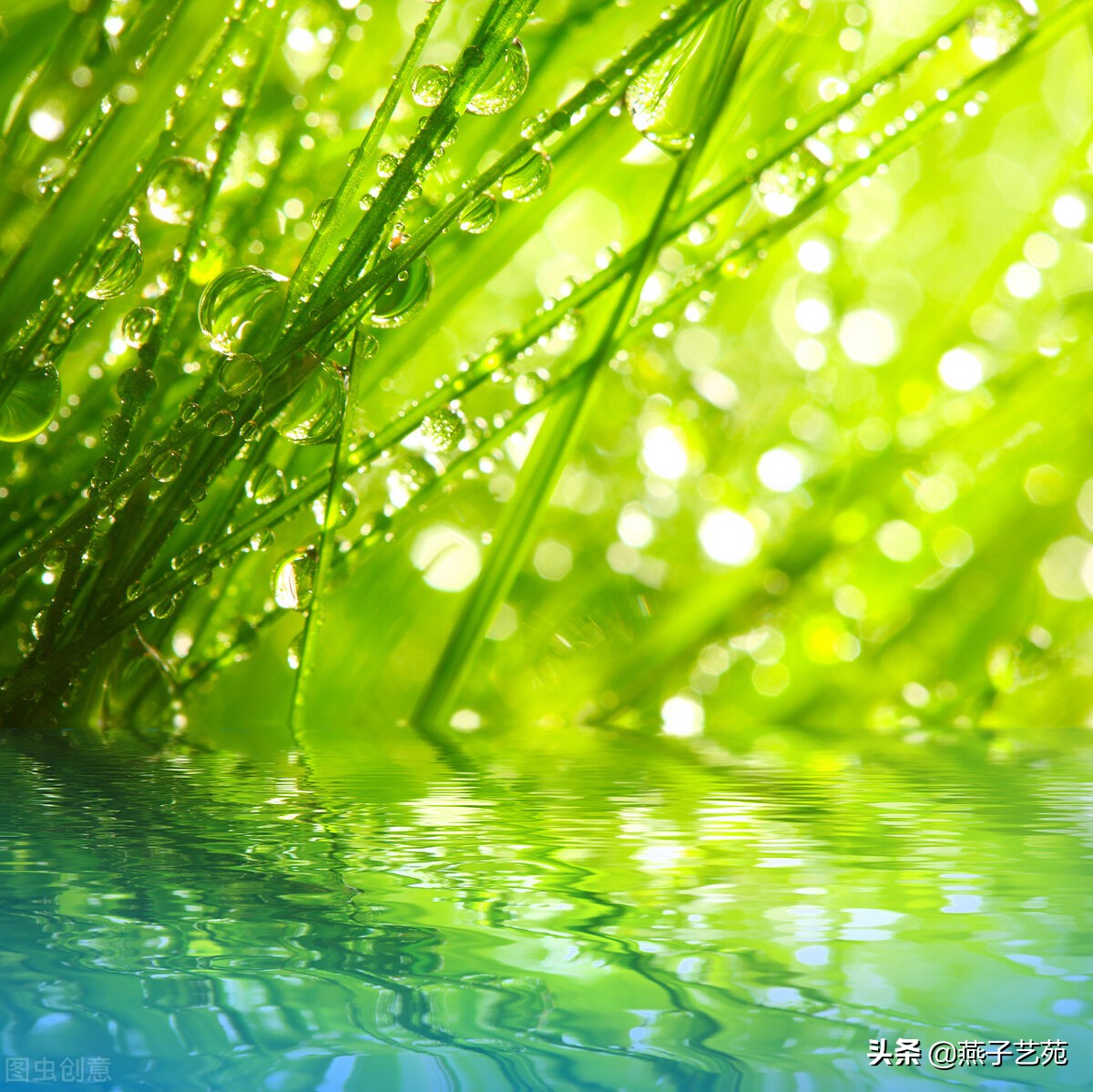 立春的诗句古诗大全（描写立春的唯美句子）