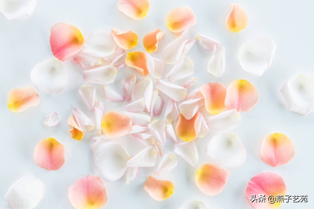 立春的诗句古诗大全（描写立春的唯美句子）