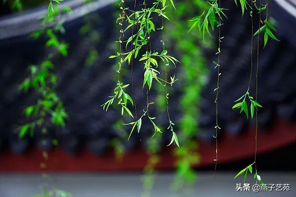 立春的诗句古诗大全（描写立春的唯美句子）