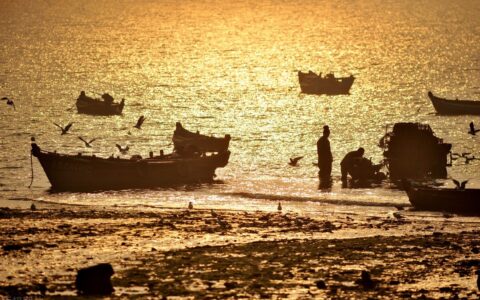 夜到渔家张籍赏析（夜到渔家古诗翻译）