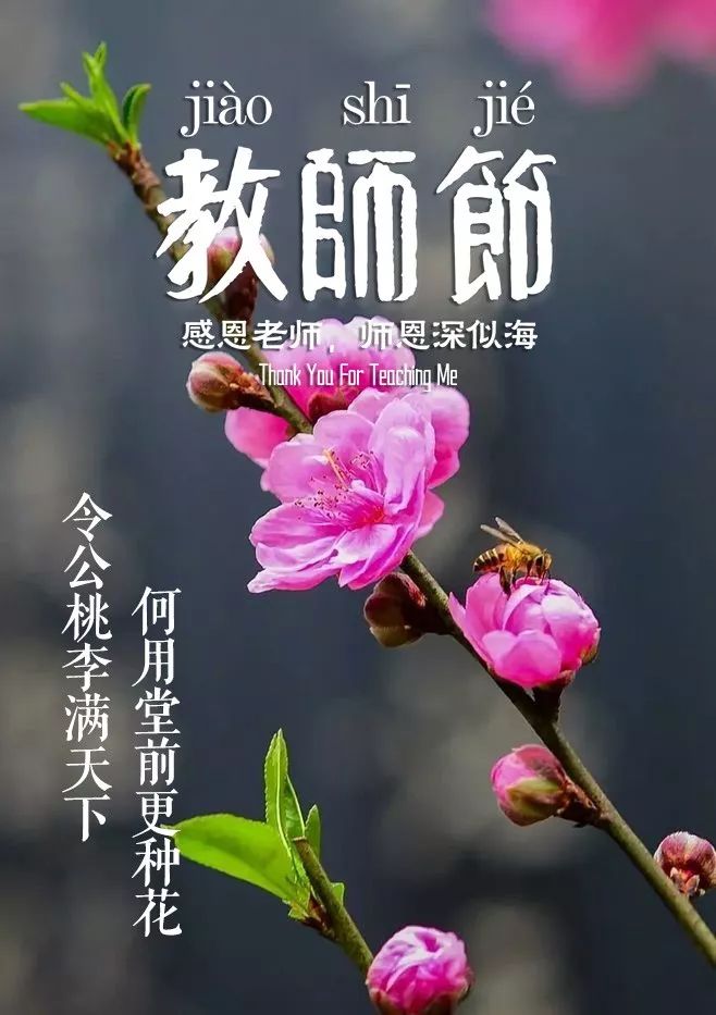赞美老师的古诗词有哪些（感谢老师的优美诗句）