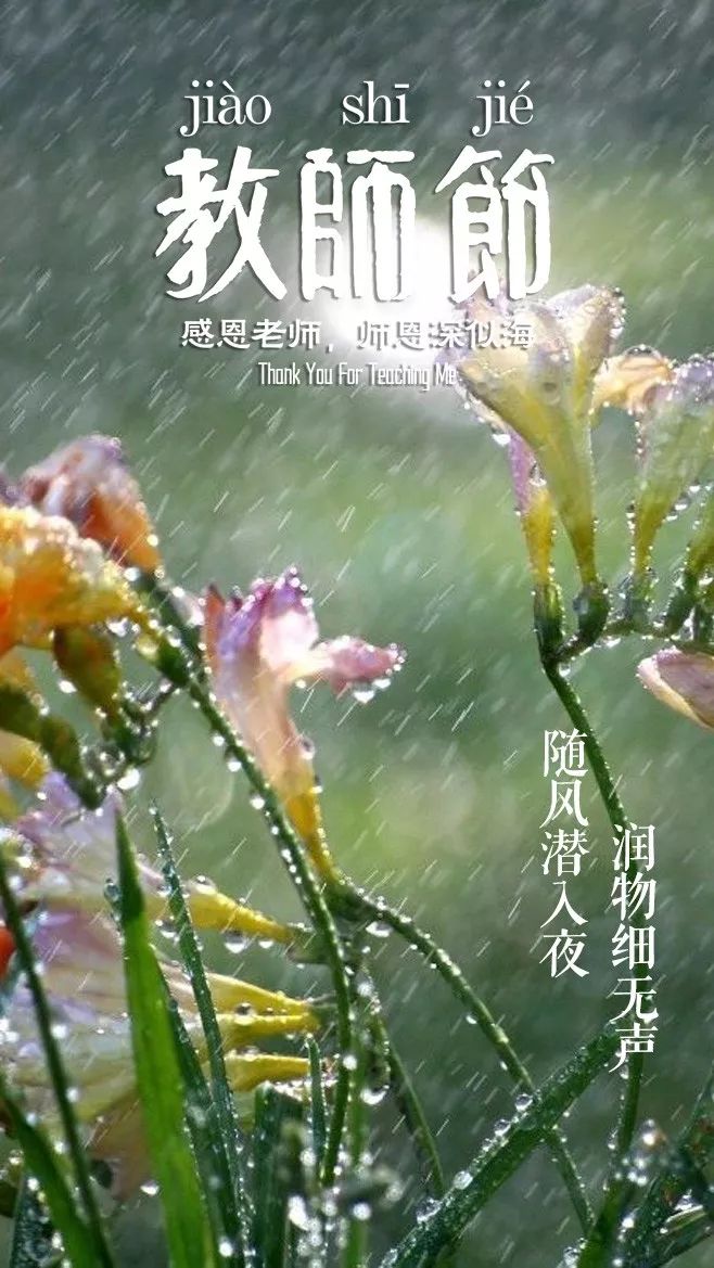 赞美老师的古诗词有哪些（感谢老师的优美诗句）