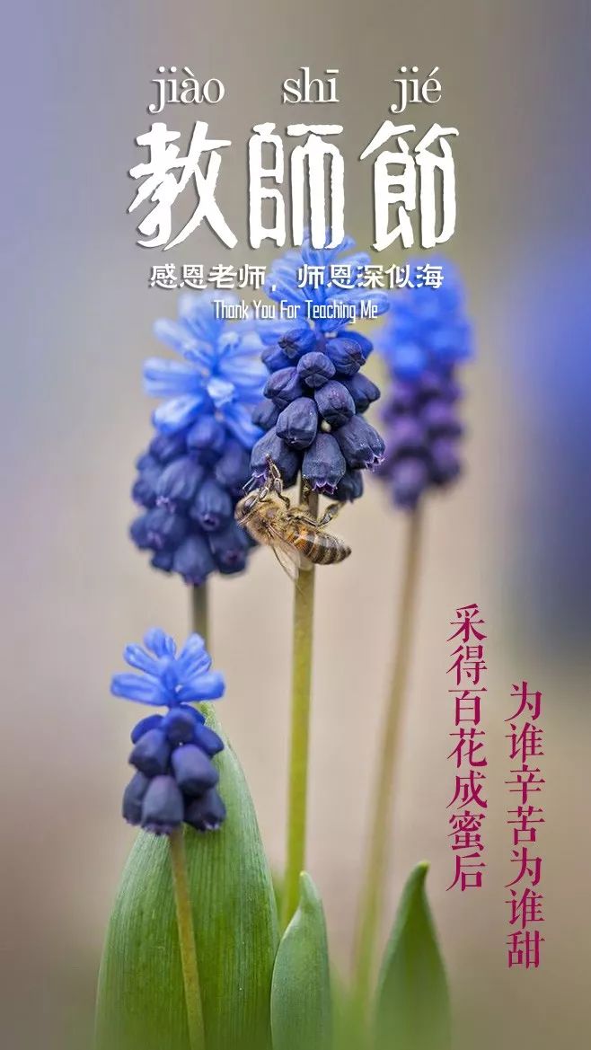 赞美老师的古诗词有哪些（感谢老师的优美诗句）