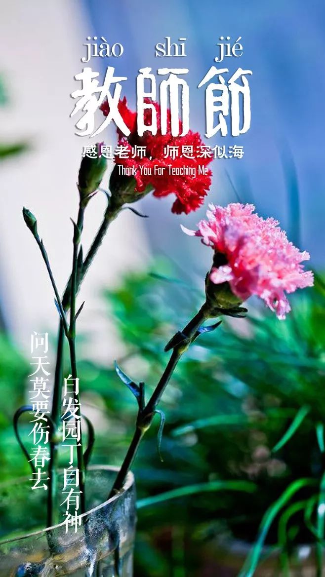 赞美老师的古诗词有哪些（感谢老师的优美诗句）