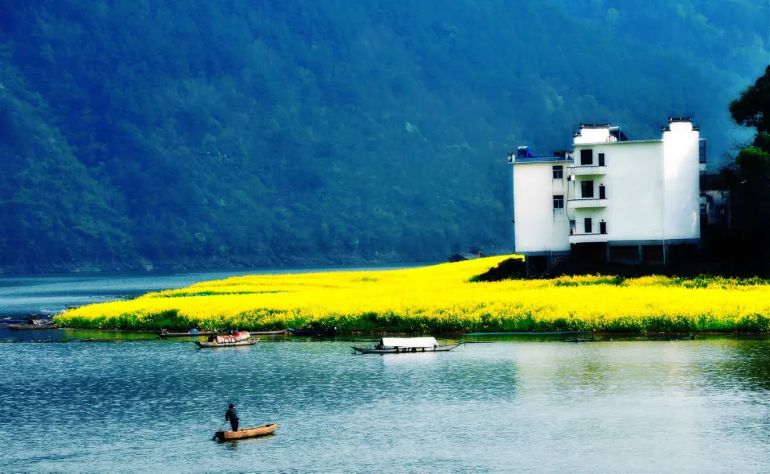 卜算子送鲍浩然之浙东意思翻译（送鲍浩然之浙东的赏析）