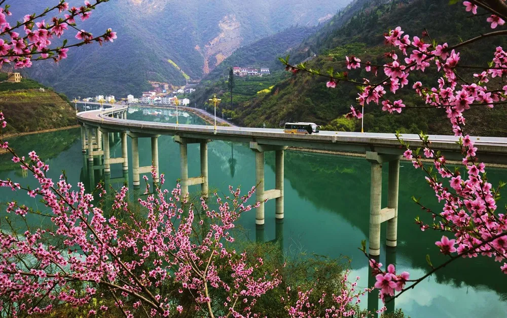 卜算子送鲍浩然之浙东意思翻译（送鲍浩然之浙东的赏析）