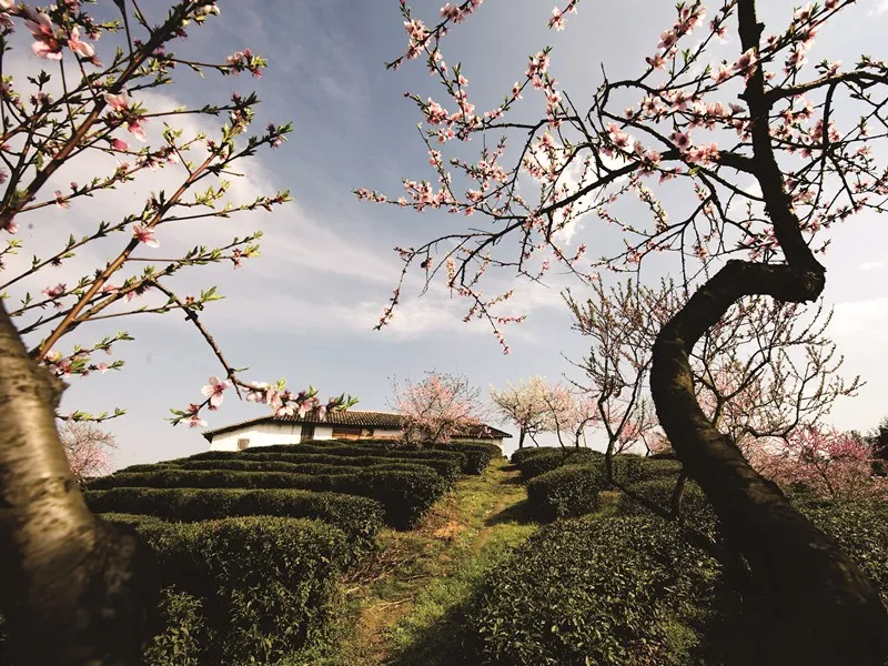 卜算子送鲍浩然之浙东意思翻译（送鲍浩然之浙东的赏析）