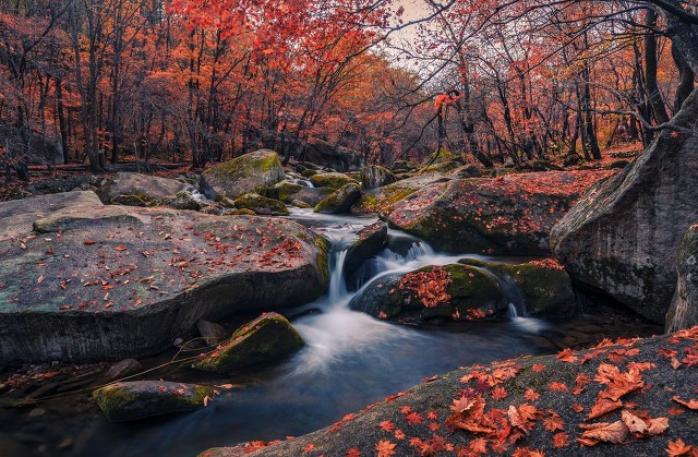 桂枝香王安石诗词鉴赏（王安石的桂枝香原文翻译）