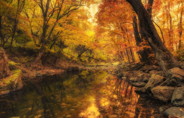 桂枝香王安石诗词鉴赏（王安石的桂枝香原文翻译）