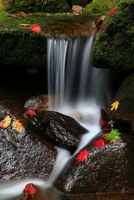 桂枝香王安石诗词鉴赏（王安石的桂枝香原文翻译）