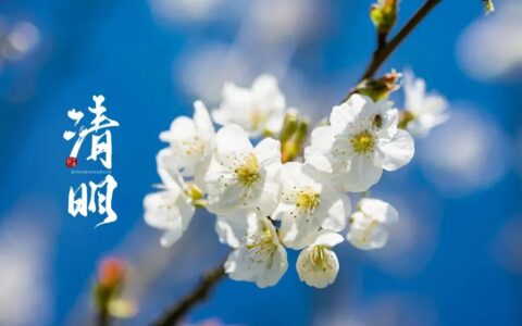 描写清明节的诗句有哪些（最有名的清明节古诗）