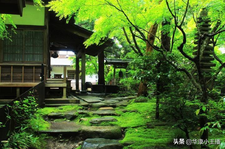 鹿柴王维古诗翻译(鹿柴古诗赏析）