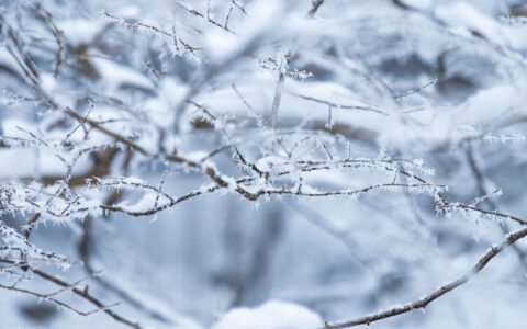 描写雪景的唯美句子发朋友圈（赞美春雪的诗句）