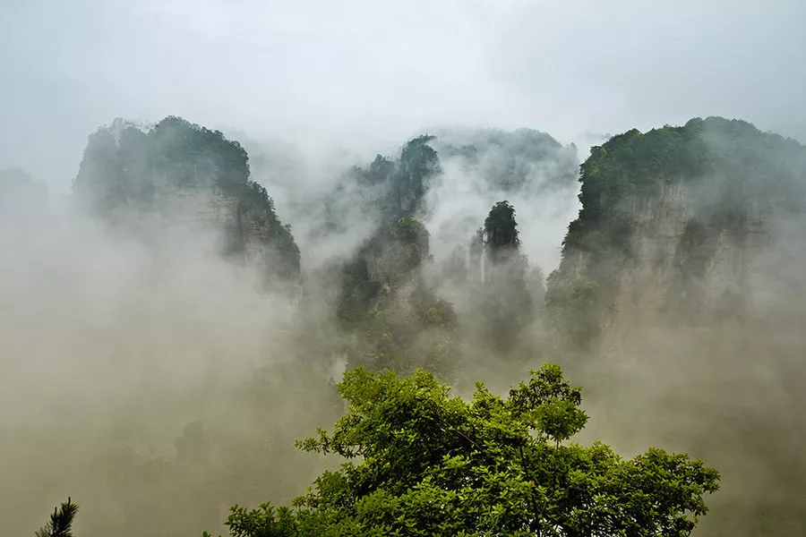 老子五章翻译及原文（大学语文老子五章全文解析）