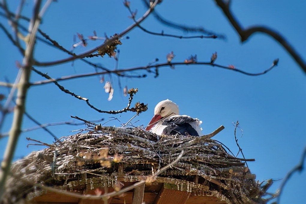 形容天气好的句子（阳光灿烂心情好的句子）