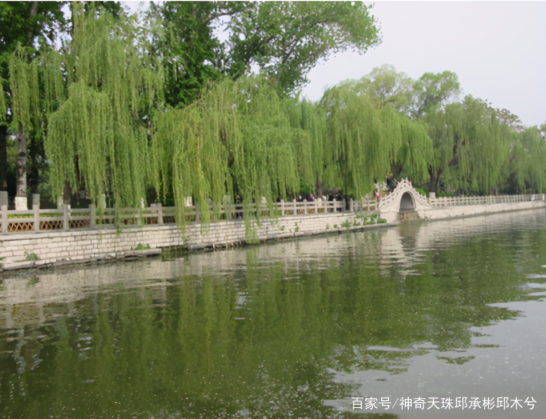 生机盎然是什么意思（生机盎然的意思解释）