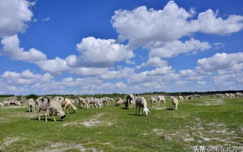 含白的诗句有哪些（带白字的优美词语）