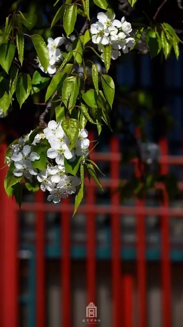 春日诗歌赏析（春天的诗词名句）