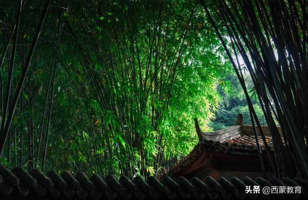 城南古诗带拼音（城南曾巩阅读答案）