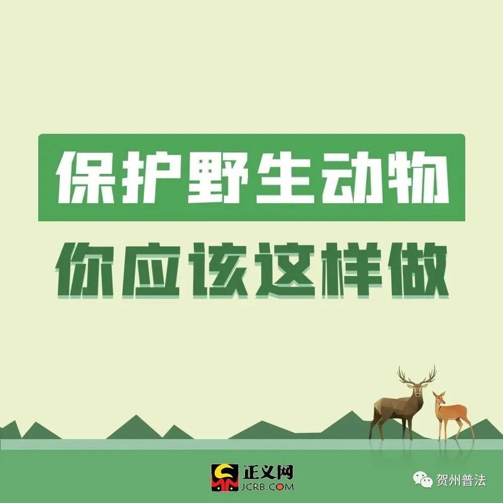 为什么要保护动物（保护动物的意义和作用）