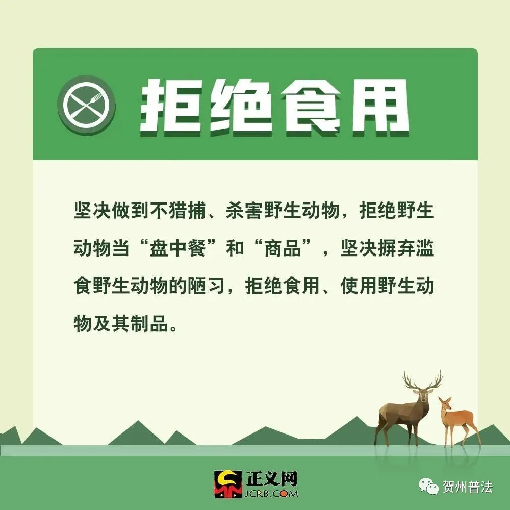 为什么要保护动物（保护动物的意义和作用）