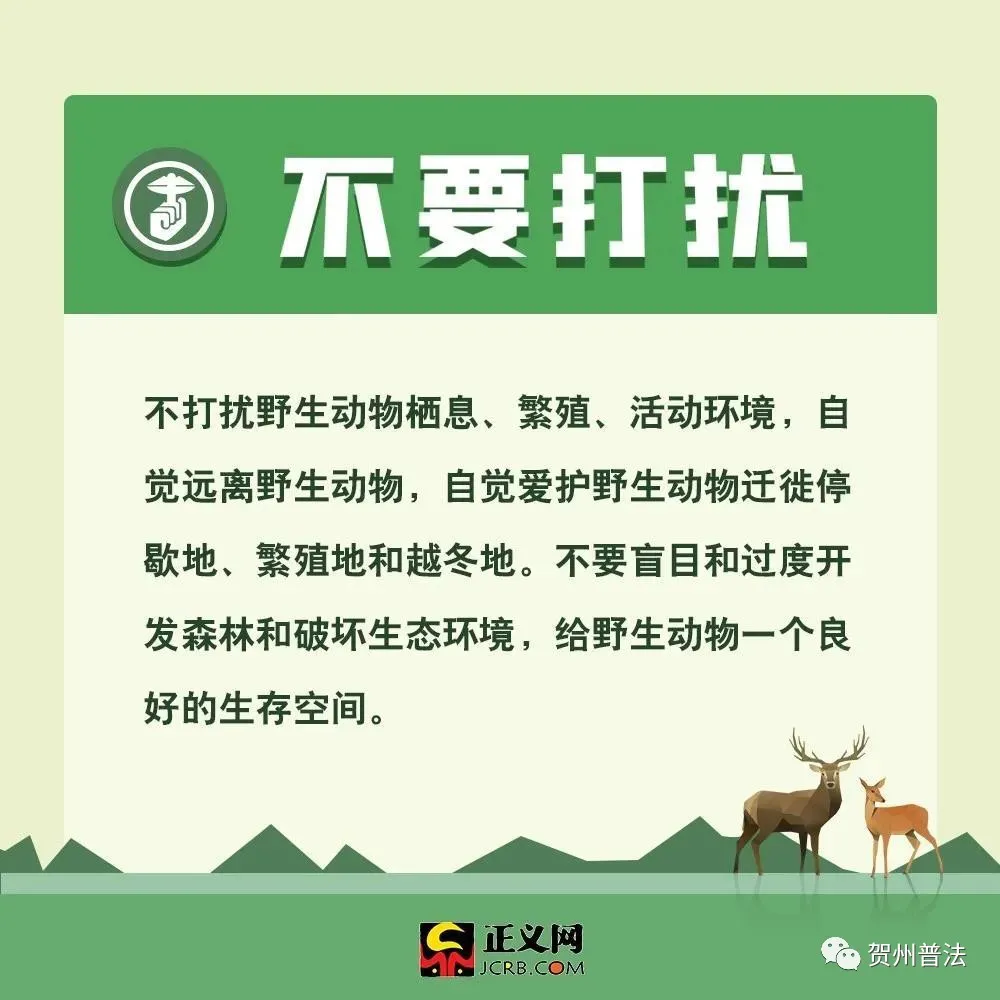 为什么要保护动物（保护动物的意义和作用）