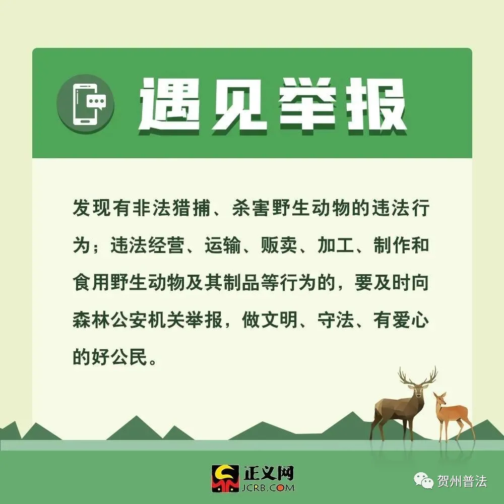 为什么要保护动物（保护动物的意义和作用）