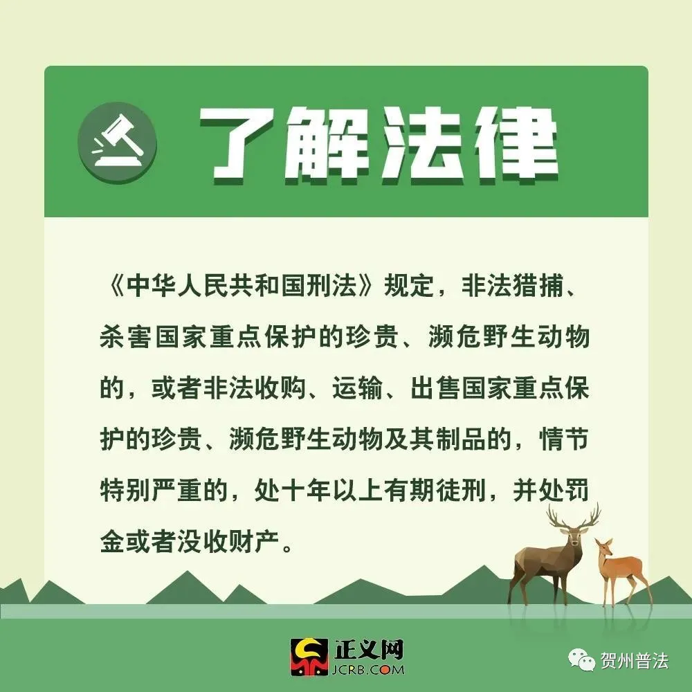为什么要保护动物（保护动物的意义和作用）