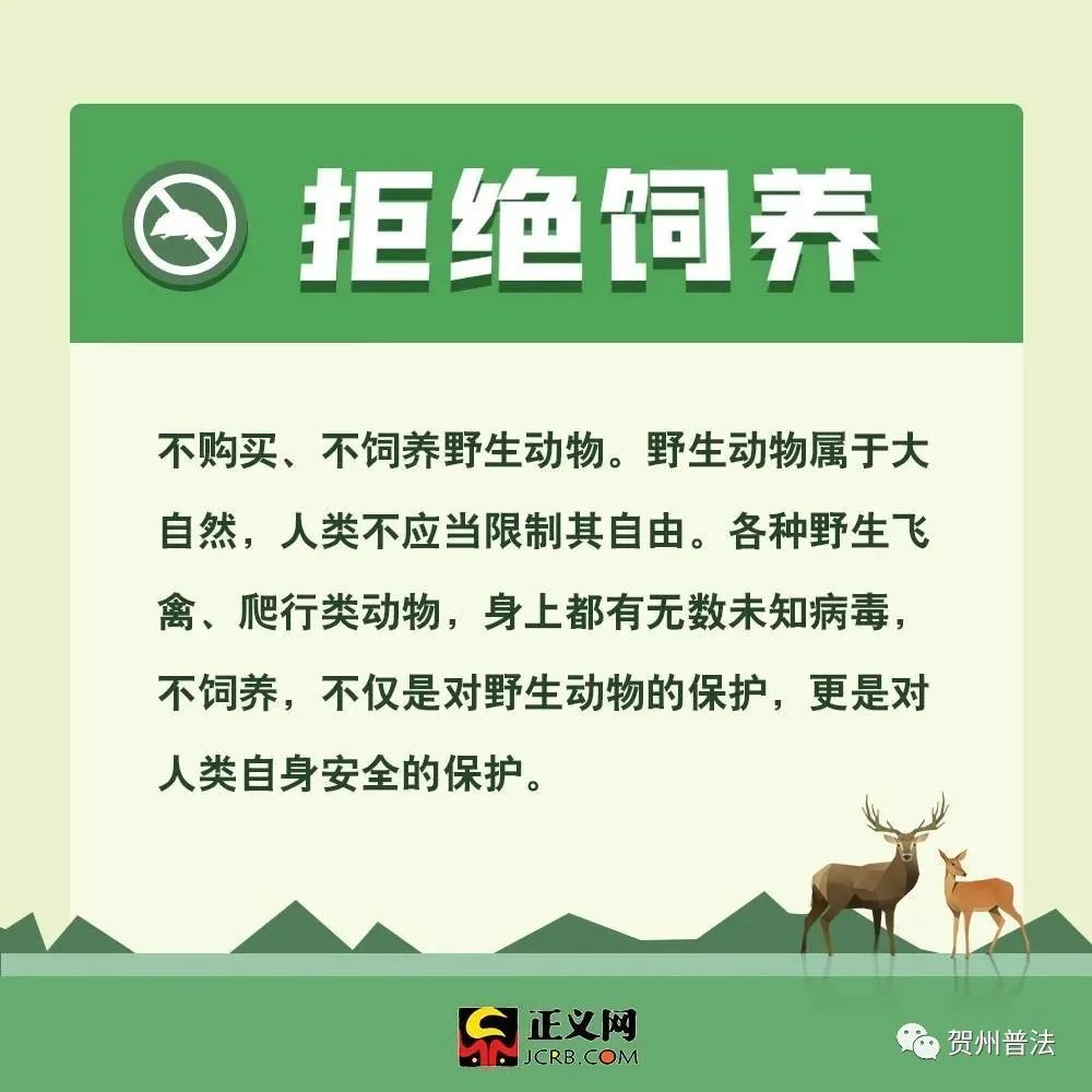 为什么要保护动物（保护动物的意义和作用）
